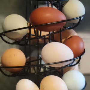 Farm-Fresh Eggs
