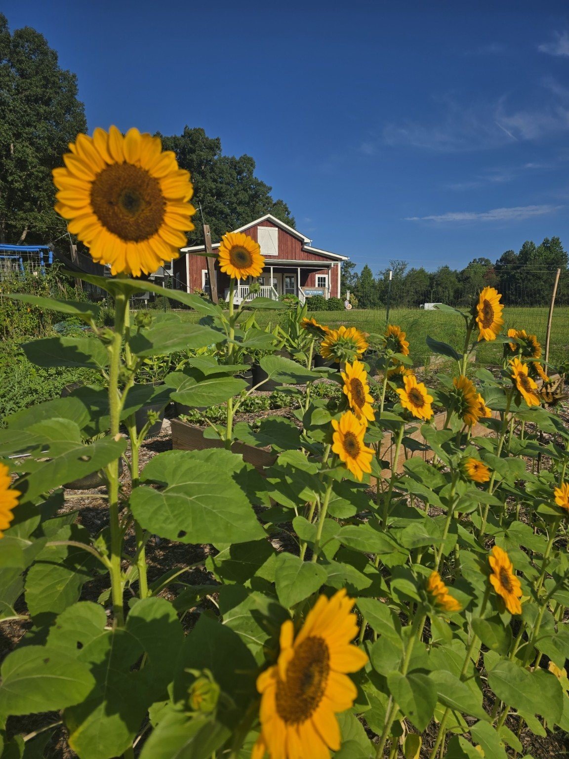 Inside the farm stay at Ewe on the Farm