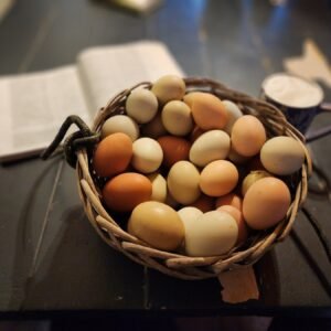 Eggs